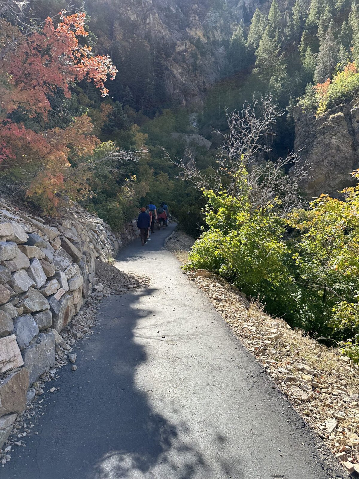 hike Timpanogos Cave