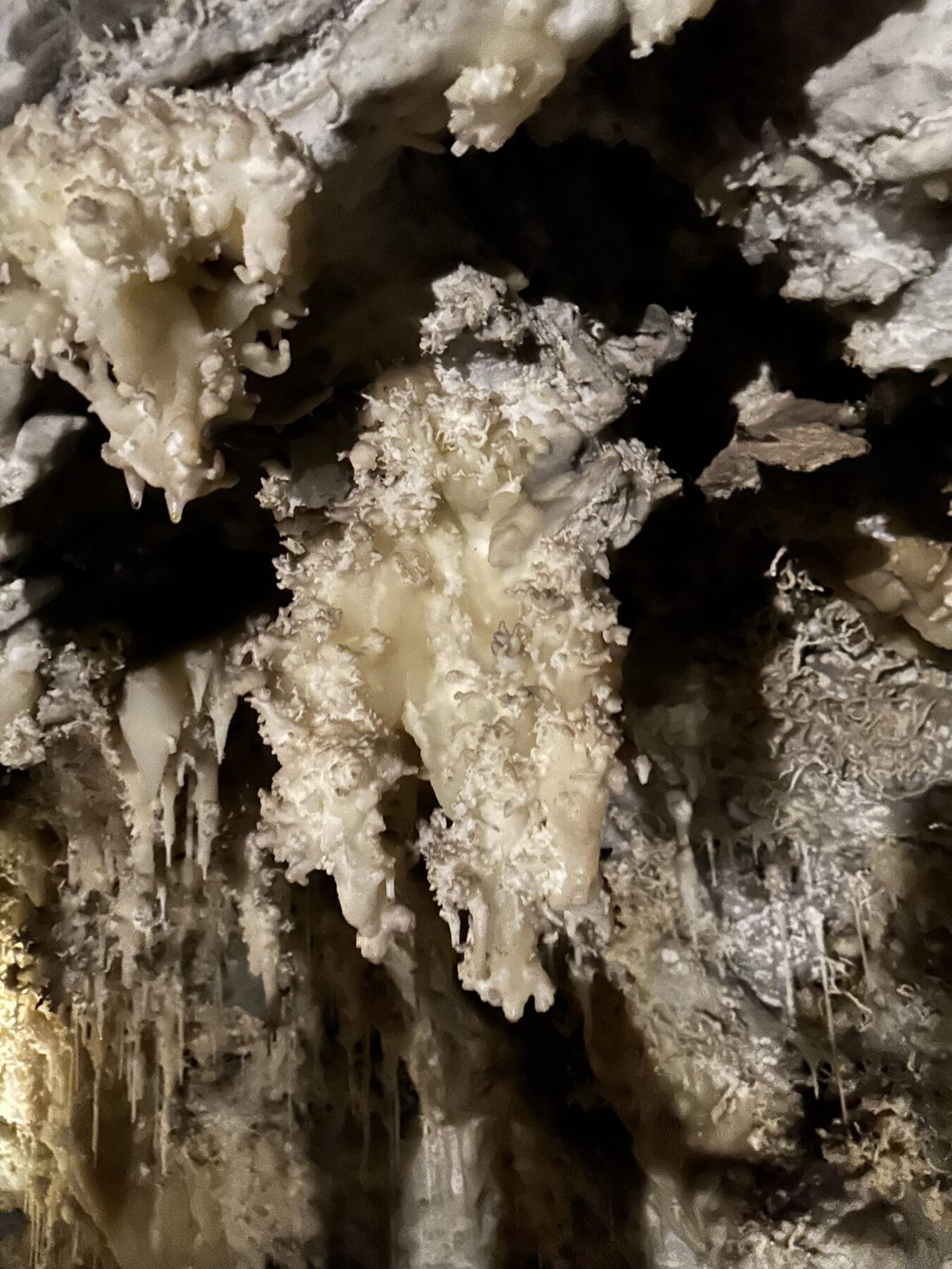 Timpanogos caves