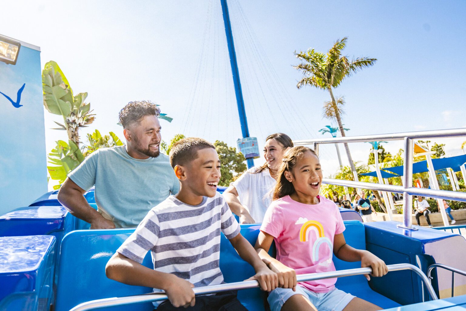 Seaworld Rodes 17 Best Rides At SeaWorld San Diego – Planning Away