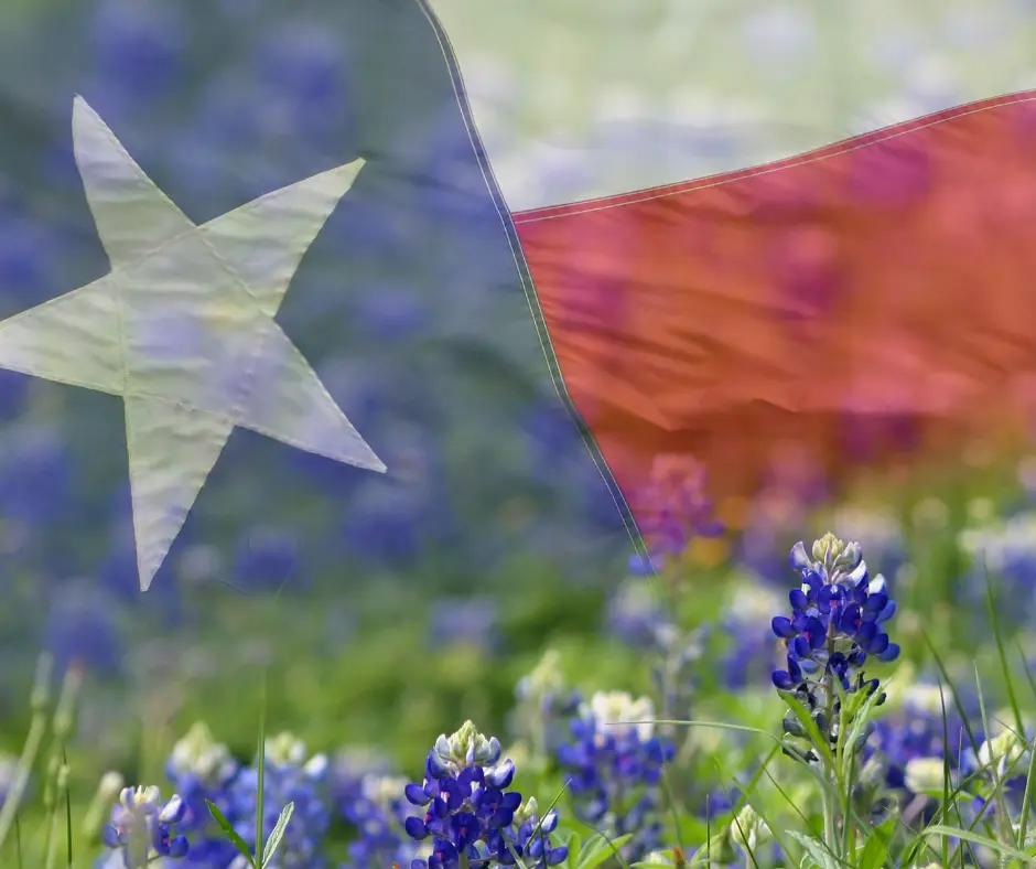 Best Family Vacations Texas - Flags