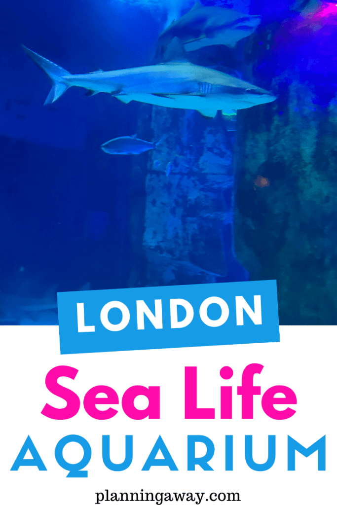 Sea Life London Aquarium Pin for Pinterest