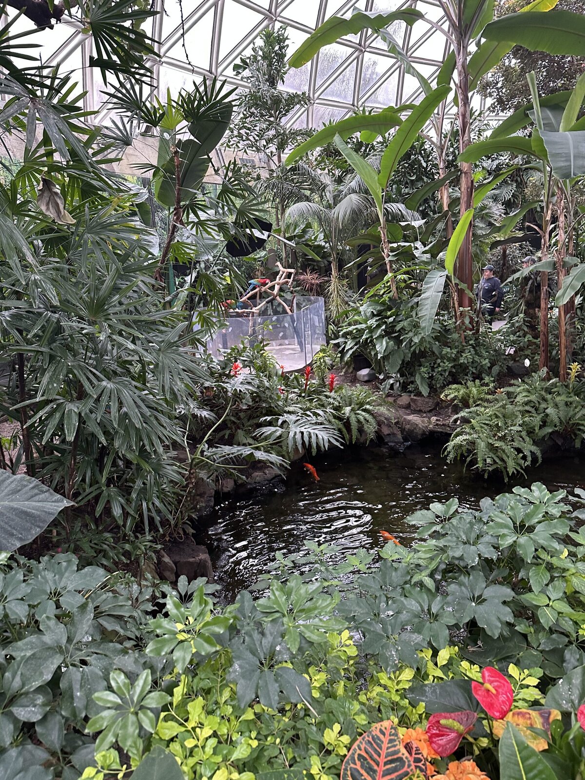 Bloedel Conservatory
