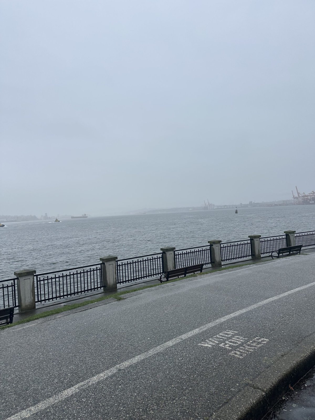 Drive through Stanley Park