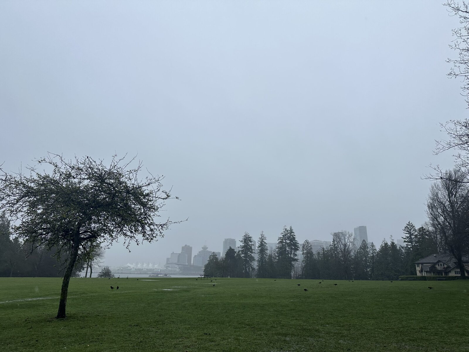Family Space (Field) in Stanley Park