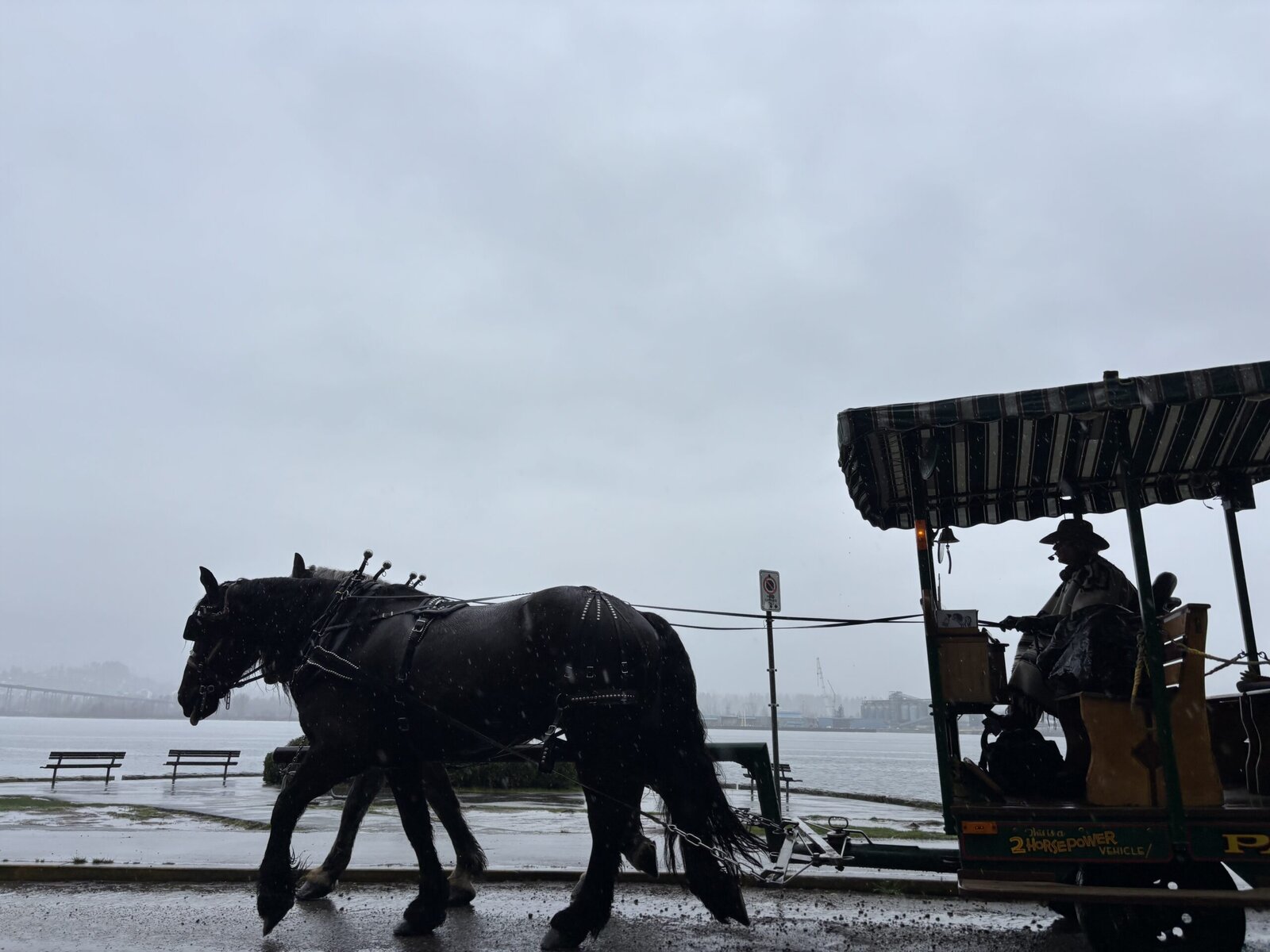 Horse Drawn Carriage Ride In Stanley Park