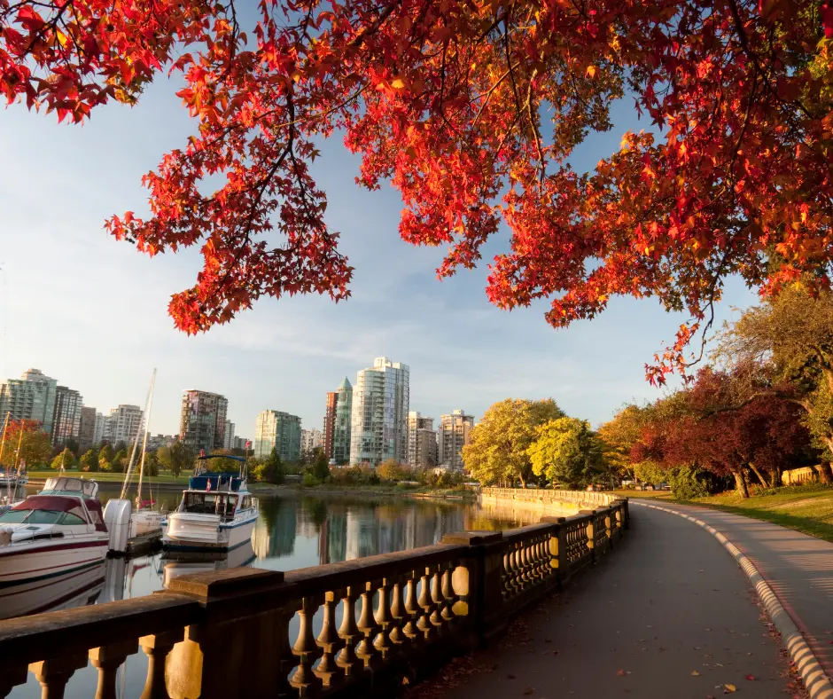 Stanley Park Road and View