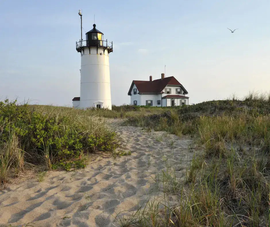 Cape Cod