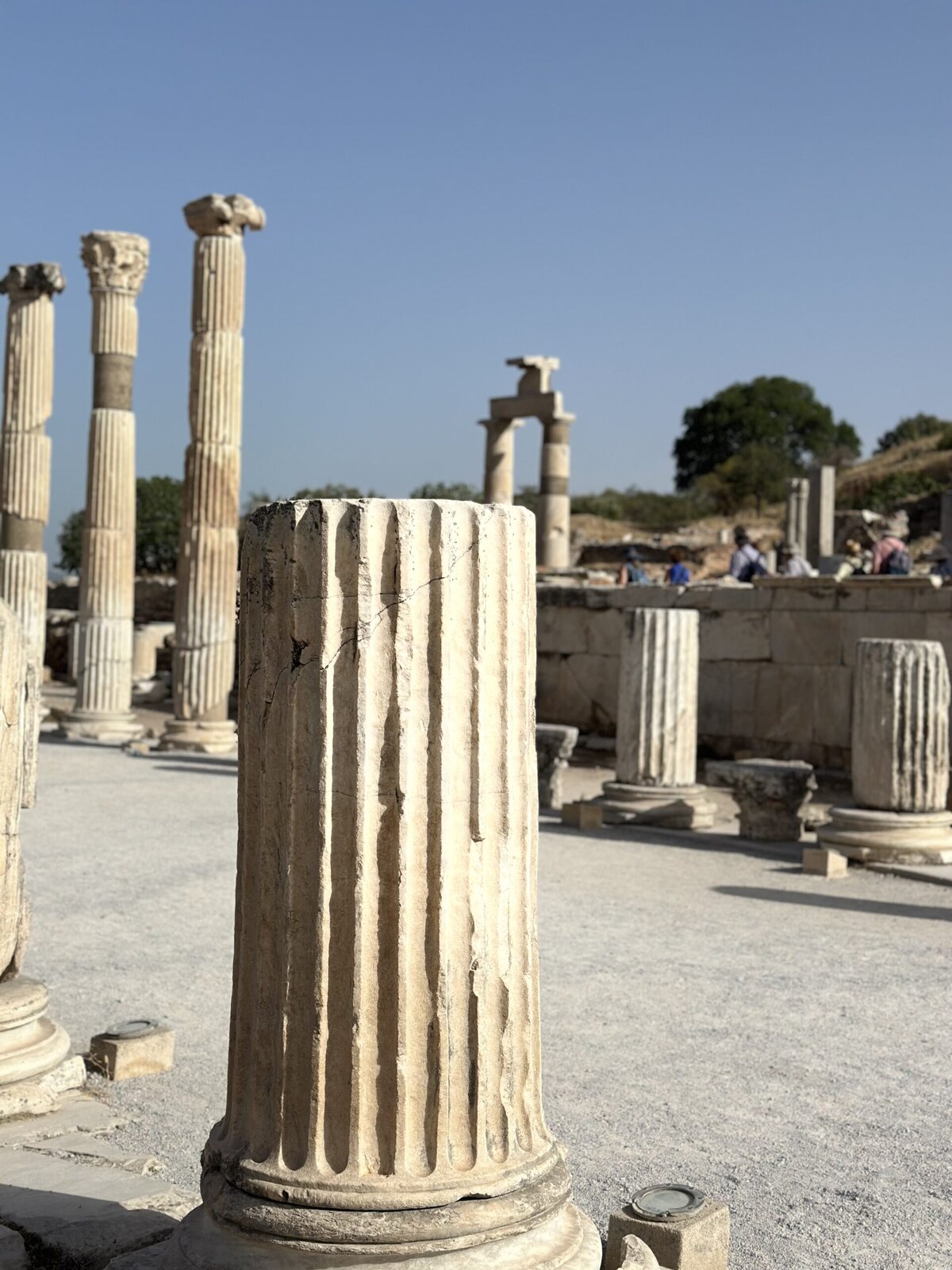 Ephesus ruins column