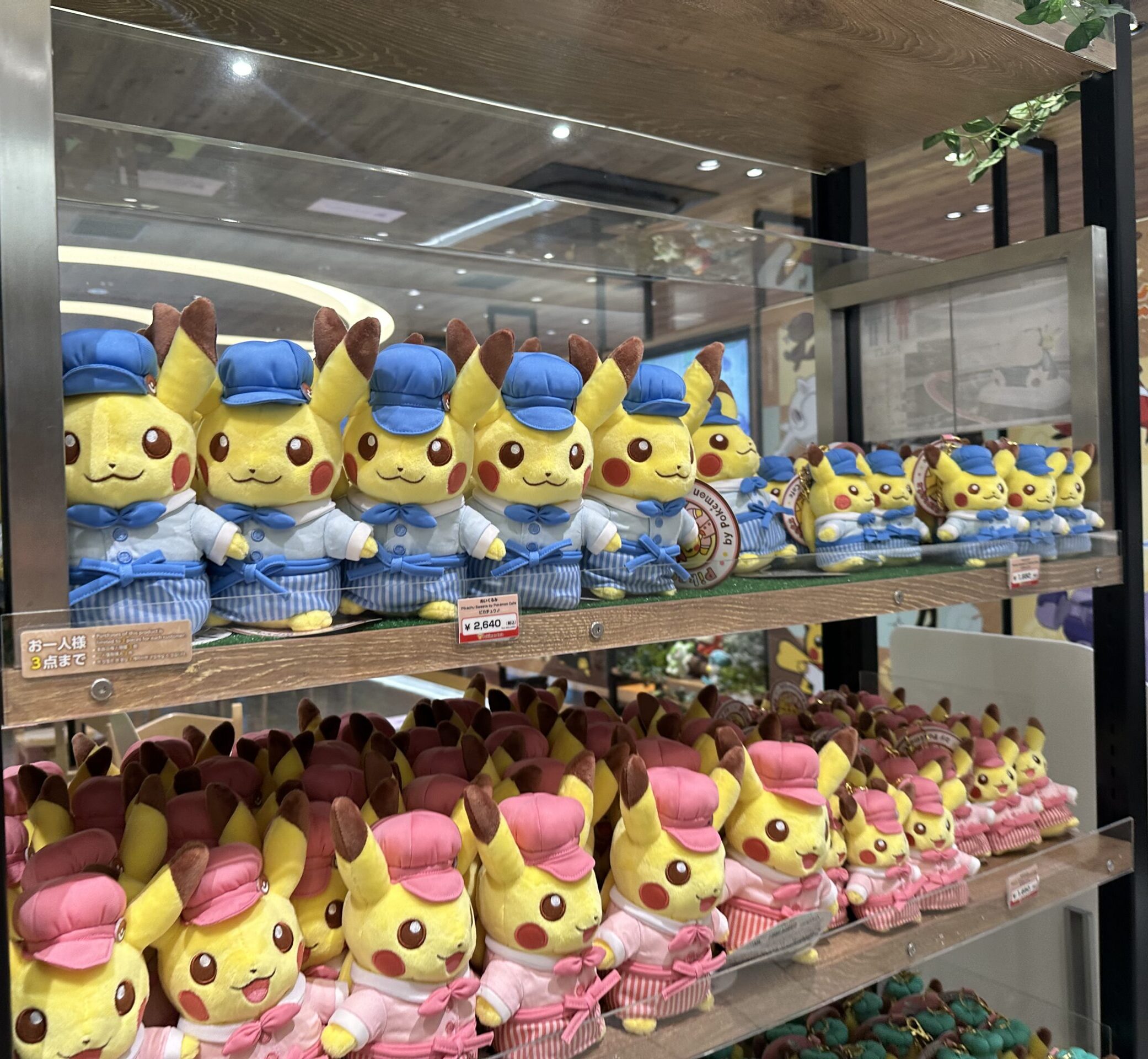 Pokemon Cafe Tokyo Souvenirs