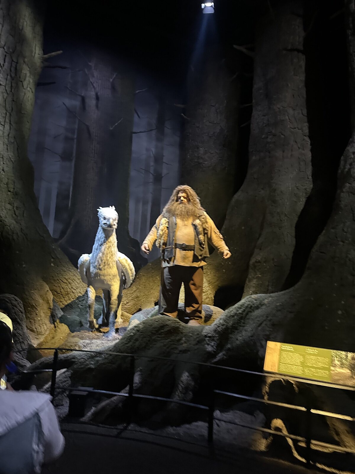 Forbidden Forest Harry Potter