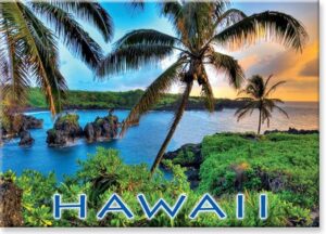 Hawaii Magnet