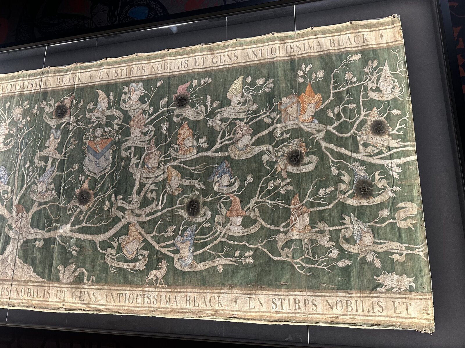 Sirius's Family Tree