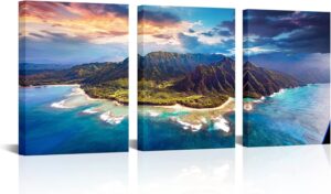 Hawaii wall art