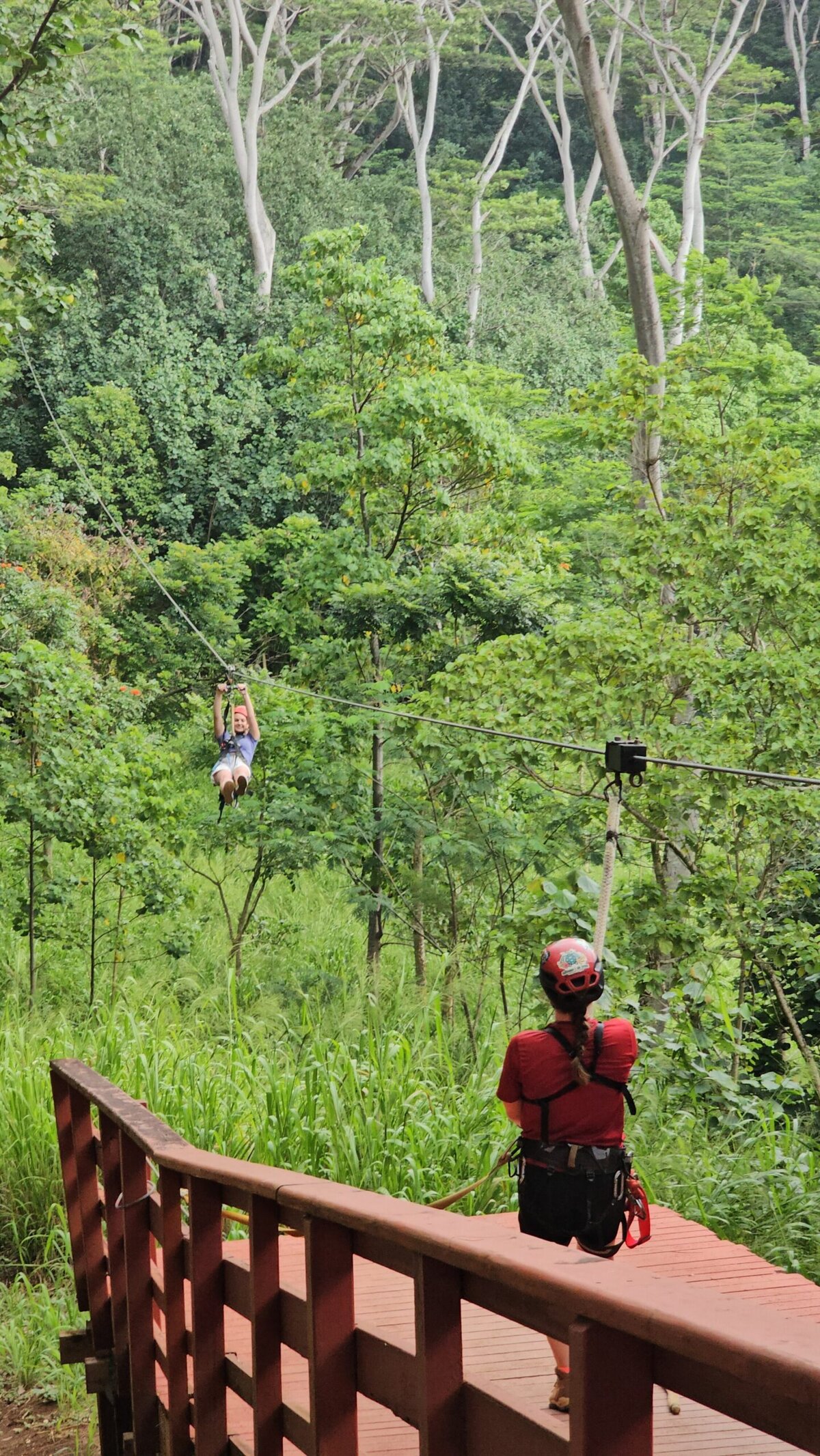 Zip Lining in Kauai