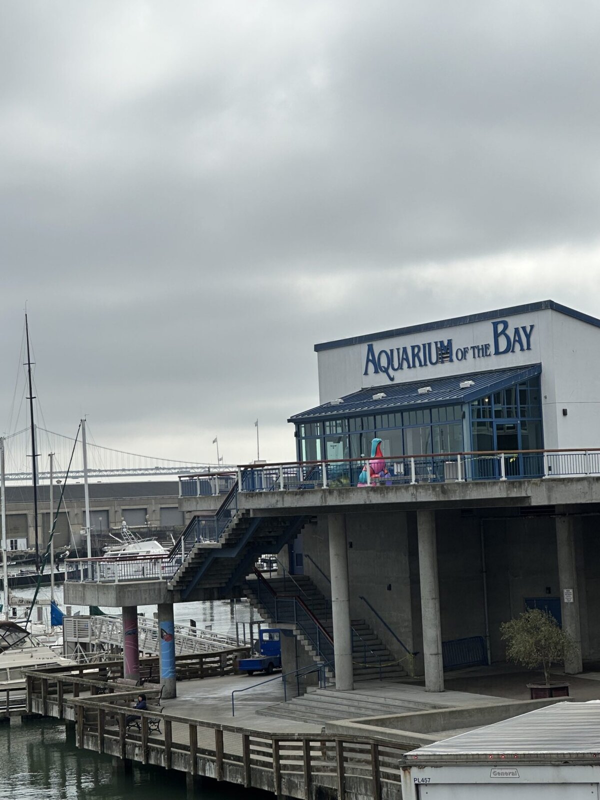 Pier 39 things to do - Aquarium of the Bay