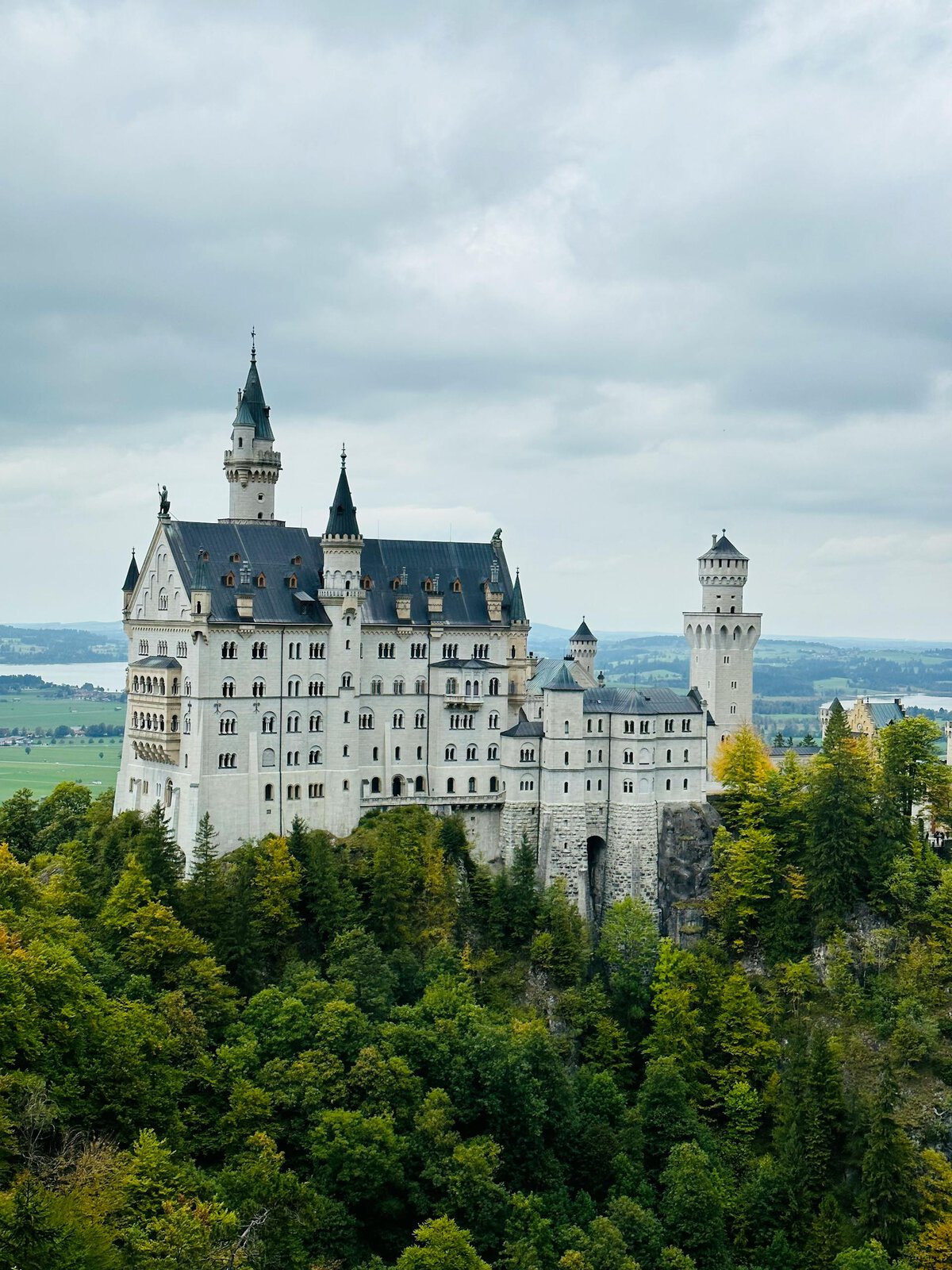 Aerial view of Neuschwanstein Castle surrounded by lush greenery and forest in Bavaria, Germany.