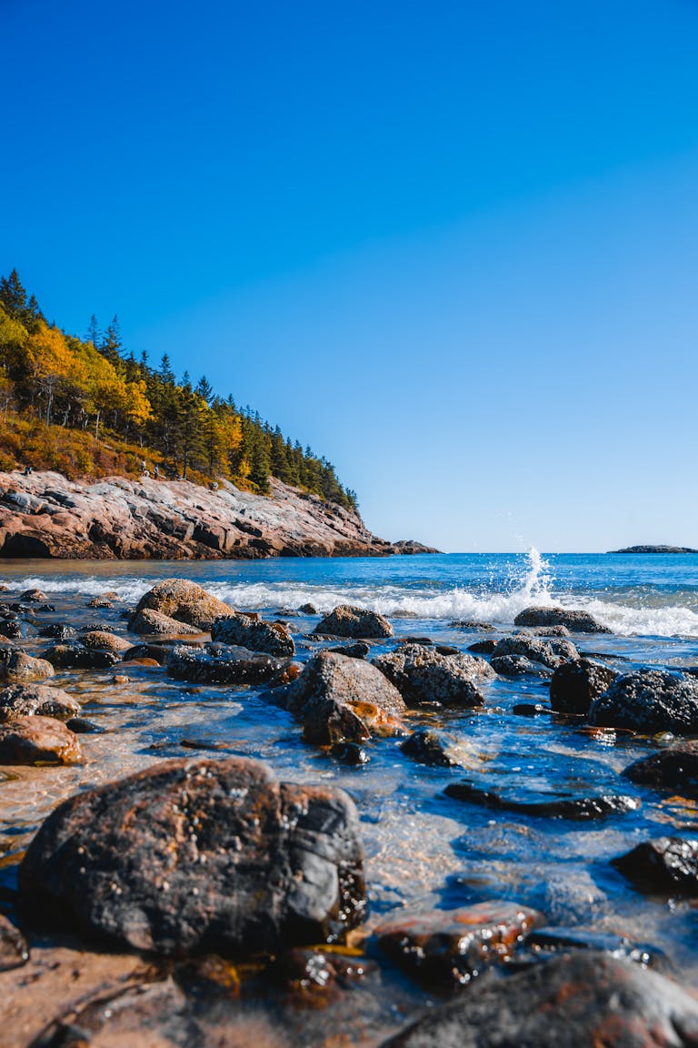 Explore the rugged beauty of Bar Harbor's coastline with its rocky beaches and vibrant waters.